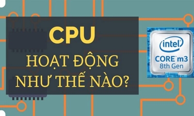 CPU là gì? Cấu tạo và nguyên lý hoạt động của CPU